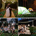 Solar Rose Stake Lights Solar Powered