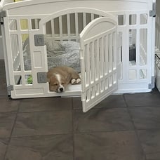 NEW 4 Panels Foldable Gate for Dogs (33.5x33.5 inches)