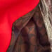 Coach trench coat