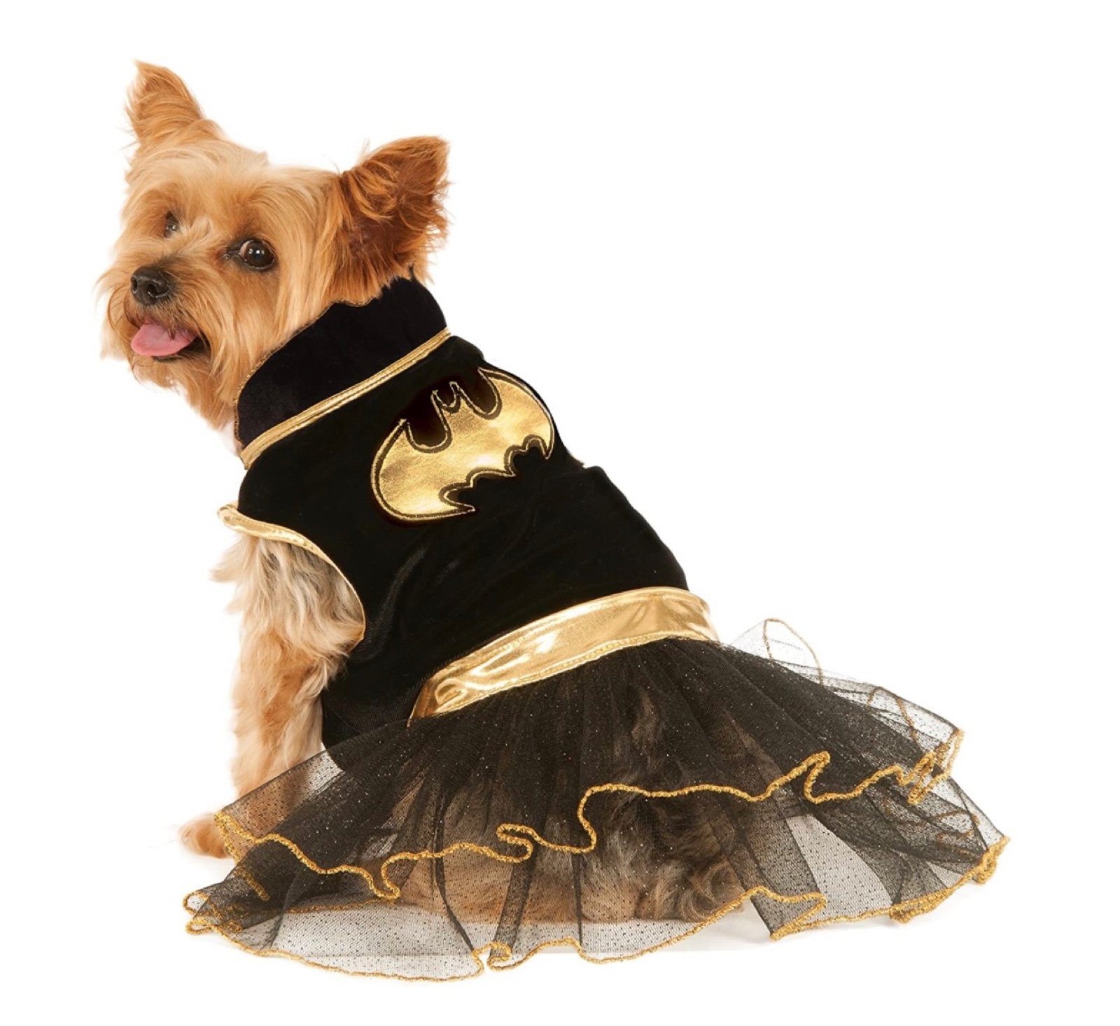 NWOT-DC Comics Batgirl Pet Tutu Dress