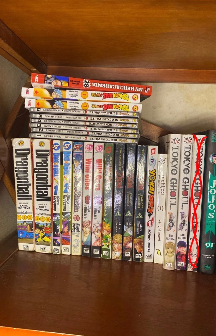 Manga Lot (Bought is in red)