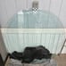 Glass Dining Table Set