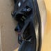 2006-2013 Chevy Impala Right Headlight Assembly