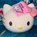 Hello Kitty planter pot