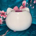 Hello Kitty planter pot