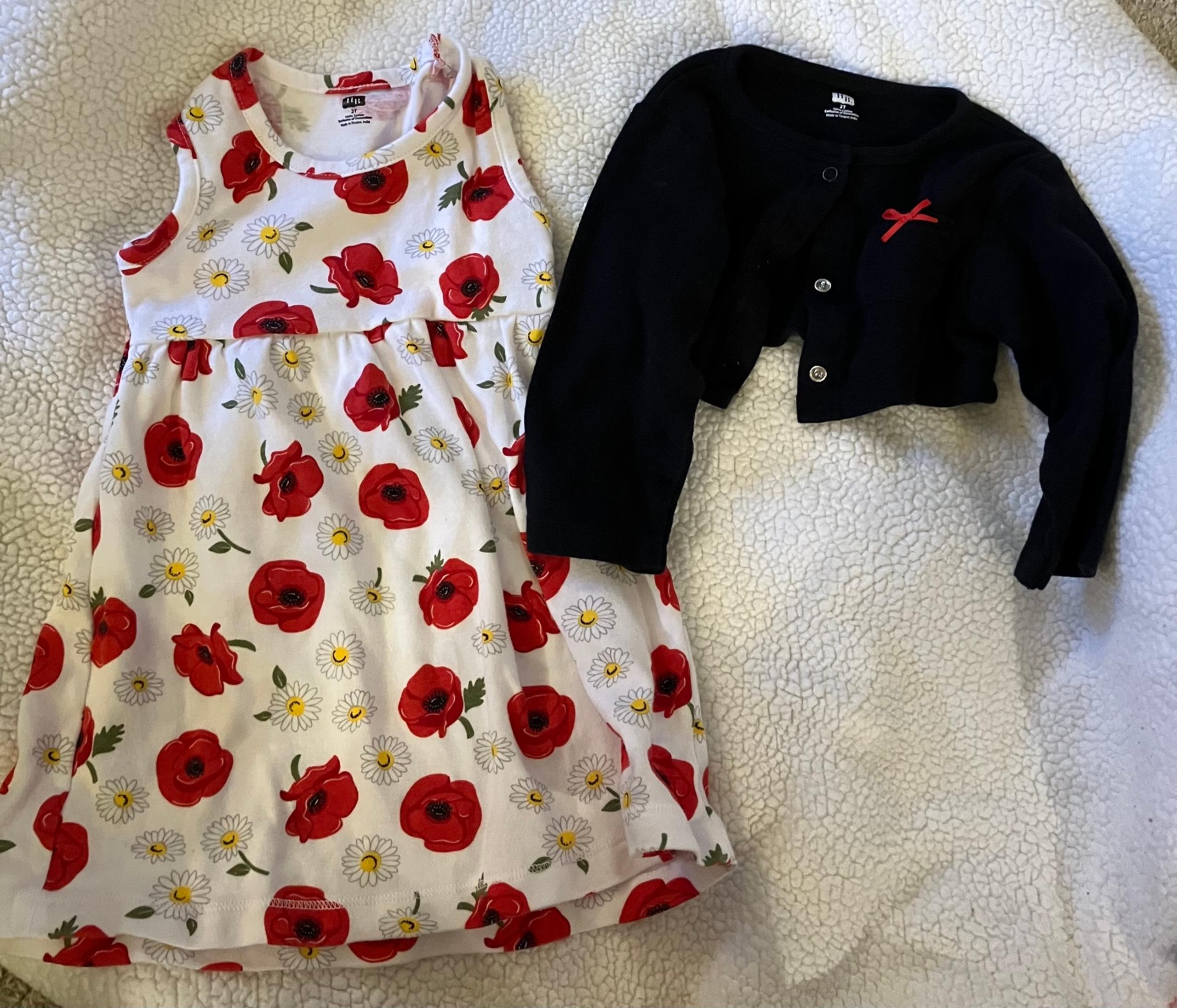 Hudson Baby Dress and Cardigan Poppies and Daisies Size 2T