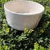 Rae Dunn THIRSTY DEVOUR 6” 202 Artisan Collection Magenta Pet Bowl Dishes Set