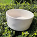 Rae Dunn THIRSTY DEVOUR 6” 202 Artisan Collection Magenta Pet Bowl Dishes Set