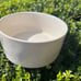 Rae Dunn THIRSTY DEVOUR 6” 202 Artisan Collection Magenta Pet Bowl Dishes Set
