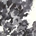 Kate Spade Leena Floral Shift Dress Women's 4 Silk Sleeveless Formal Cocktail