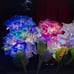 - 3 Pack 2023 Version Solar Lights Outdoor, Colorful,Hydrangea Flower Lights