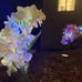 - 3 Pack 2023 Version Solar Lights Outdoor, Colorful,Hydrangea Flower Lights