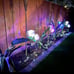 - 3 Pack 2023 Version Solar Lights Outdoor, Colorful,Hydrangea Flower Lights