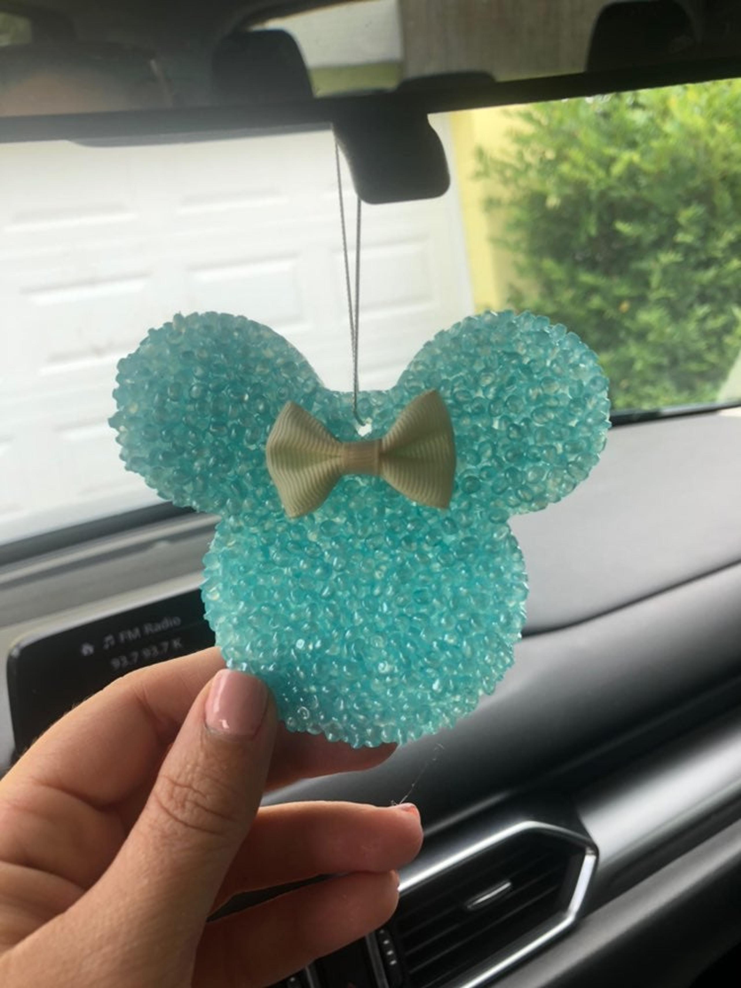 Disney inspired freshie