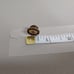 Vintage 10K Gold Filled Kirkwood 484 Masonic 25 Years Screw Back Pin