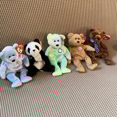 Ty Beanie Babies Papa Bear Lot