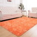 Luxury 6x9 Orange Furry Shag Area Rug-RN2S