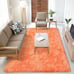 Luxury 6x9 Orange Furry Shag Area Rug-RN2S