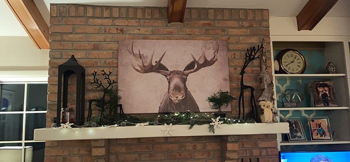 Moose Canvas Wall Art Rustic Cabin Decor Wildlife Pictures Print36 x 24 Inch