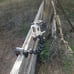 Tree stand camera mount for Gopro. Flexible mount. tree stands or tree branches