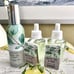 BBW White Tea & Sage wallflower refills, candle and hand soap