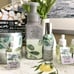 BBW White Tea & Sage wallflower refills, candle and hand soap