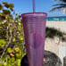 Starbucks Disneyland Studded Tumbler