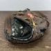 Rawlings PP1250S Right Hand Leather Baseball Glove LHT 12.5 Player Preferred