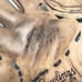 Rawlings PP1250S Right Hand Leather Baseball Glove LHT 12.5 Player Preferred