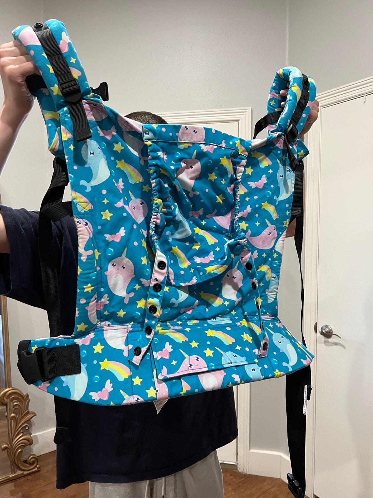 Babytula toddler carrier