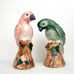 Anthropologie Loro Salt And Pepper Shaker Set Bird Parrots Green Peach