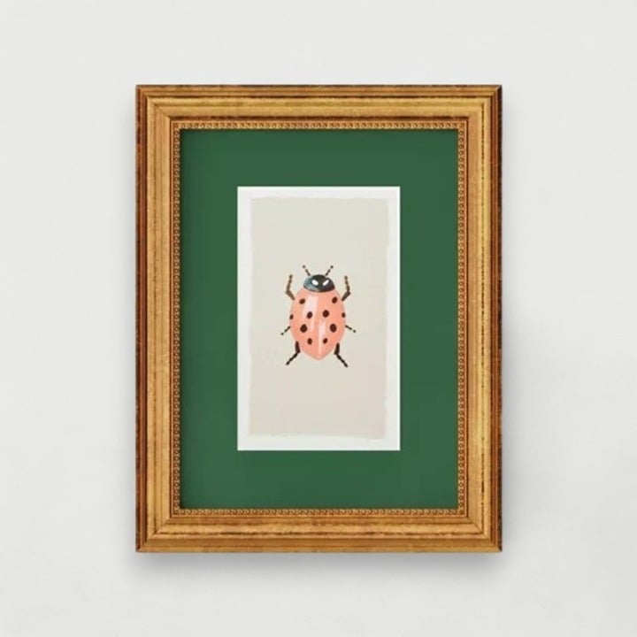 Rifle Paper Co x Target 11x14 Gold Foil Insect Poster Framed Wall Art Ladybug