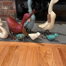 Ducks from Smith and Hawkin