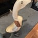 Ducks from Smith and Hawkin