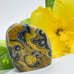 Bumblebee Jasper Eyes Self-Standing Stone (RARE)