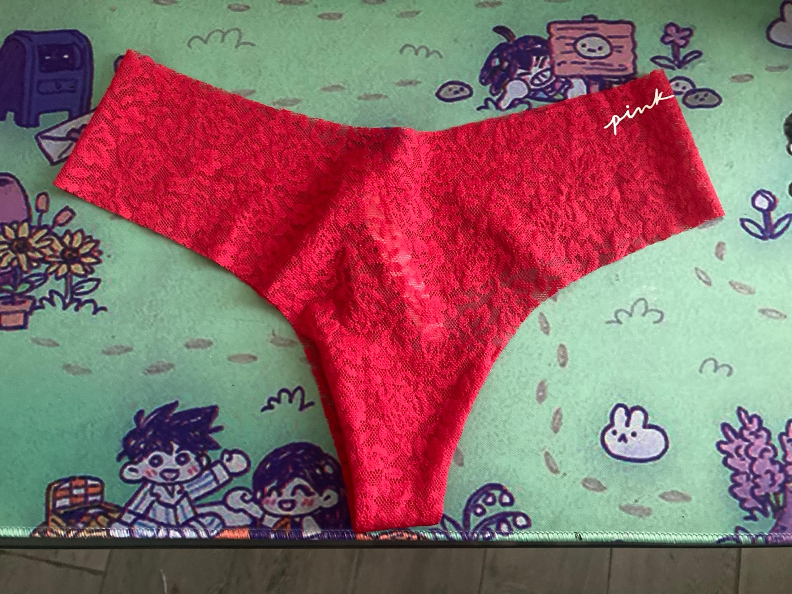 PINK Victora’s Secret Panty Small