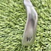 Ping G Series Pitching Wedge White Dot Awt 2.0 Steel RH 38”