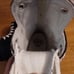 American Cougar Ice Hockey Skates Black Boys Size 1