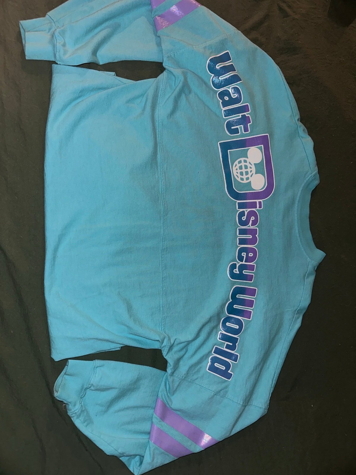 Walt Disney World spirit Jersey