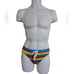 Andrew Christian Men's Medium Rainbow Striped Swim Briefs LGBT Party Deadstock