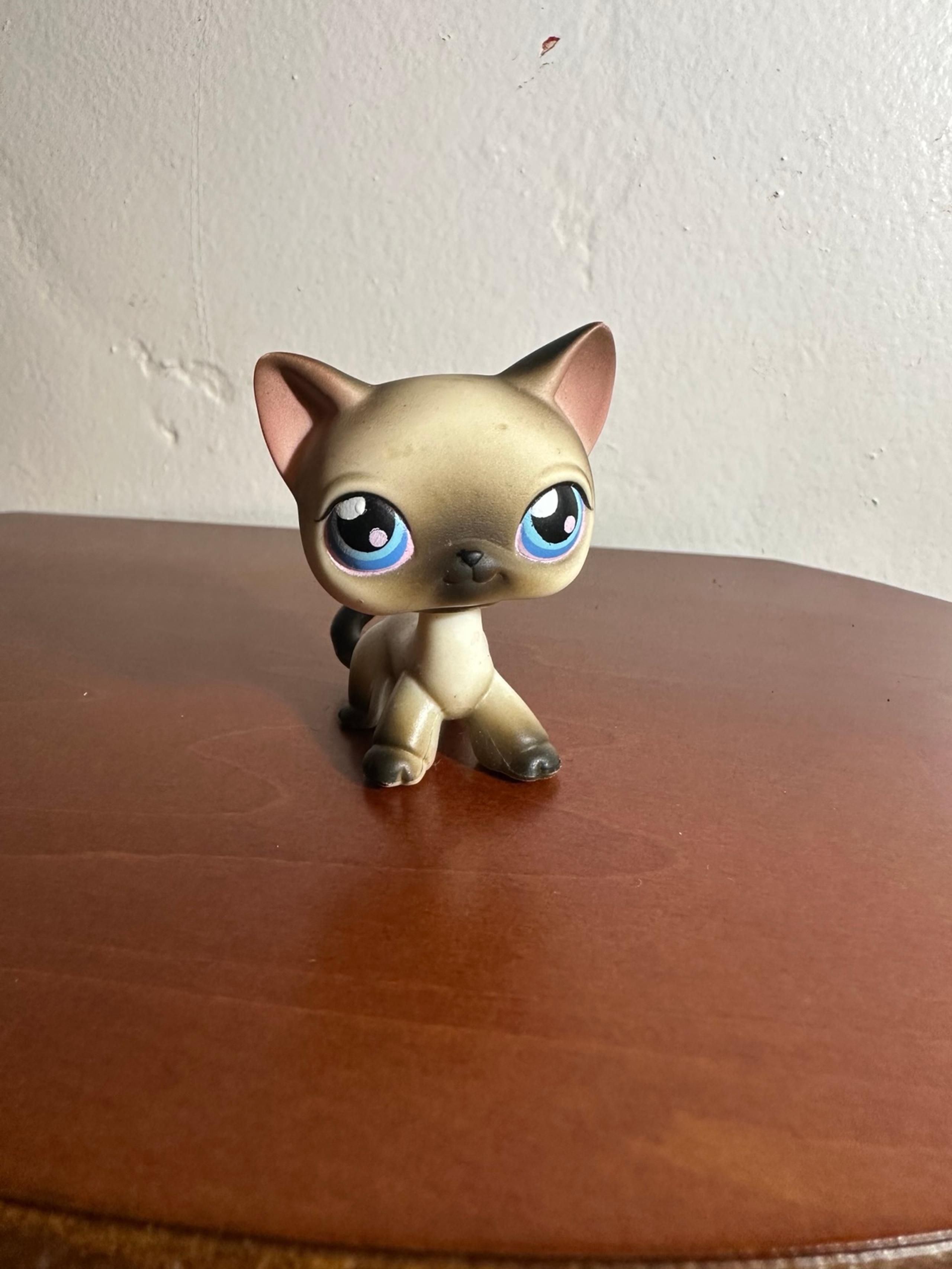 LPS Siamese shorthair #5