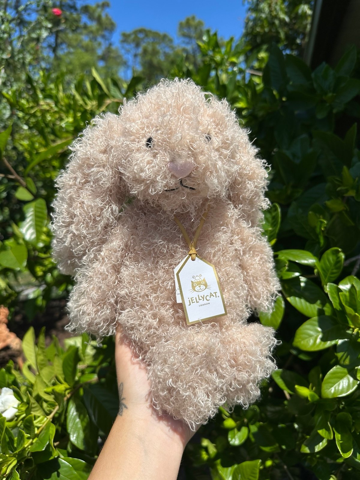 NWT - Jellycat Bashful Luxe Bunny Curly