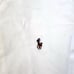 NWOT Men's Ralph Lauren Cotton Button Down Shirt, Large