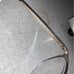 Rayban Women Tort Rimless Frame