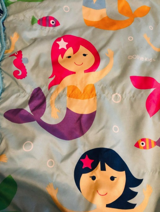 Wildkin Microfiber Nap Mat with Reusable Pillow for Boys and Girls