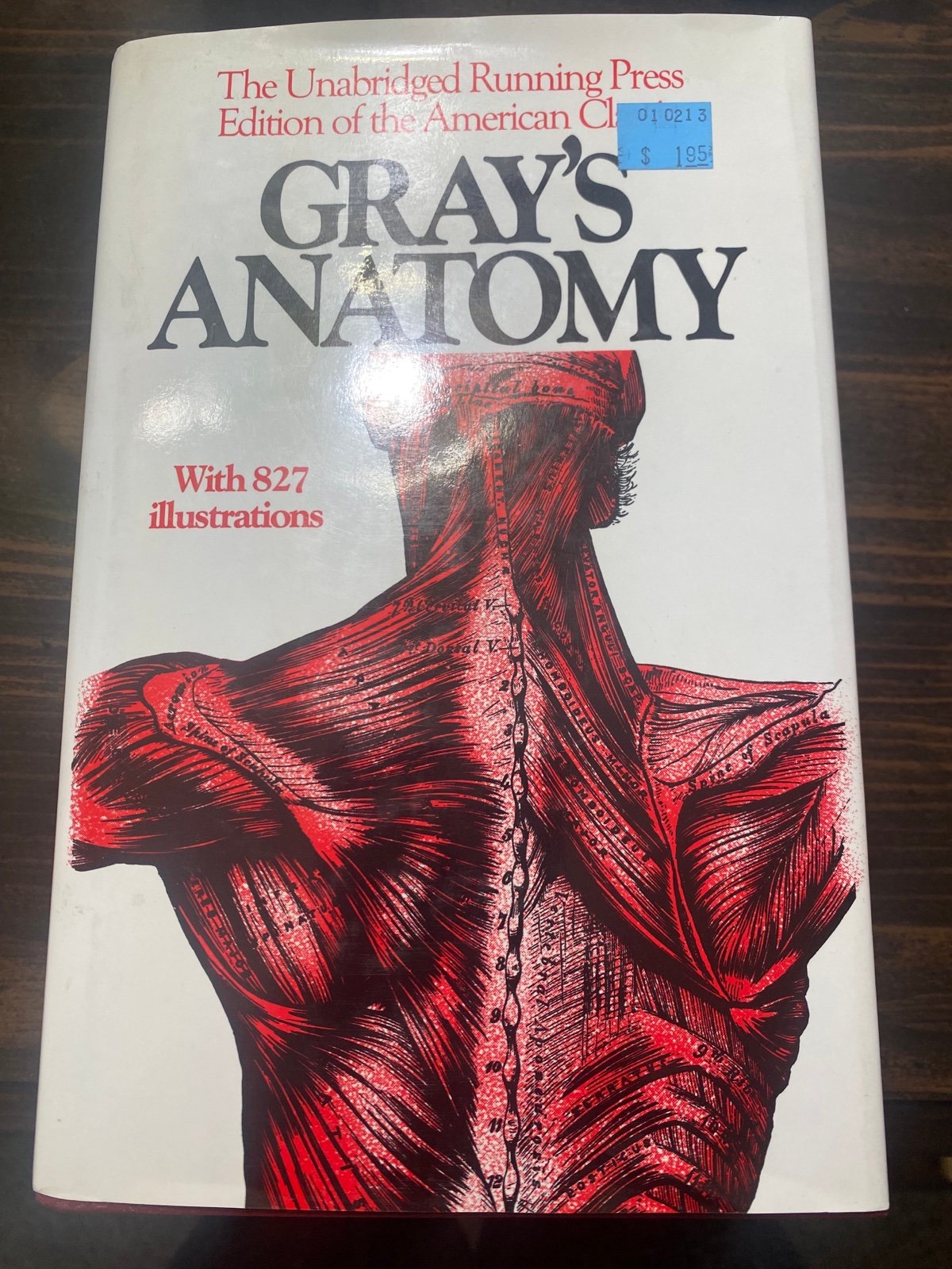 Grey's Anatomy Anatomy Reference Books | Mercari