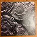 The Sundays reading writing arithmetic grey special edition vinyl sealed new
