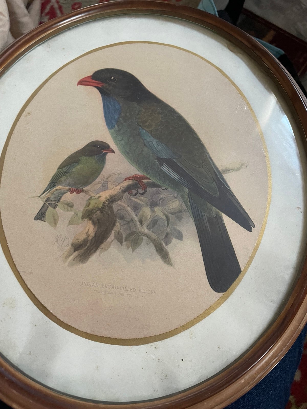 Vintage lithograph
