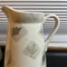 Mikasa pitcher