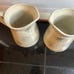 Mikasa pitcher